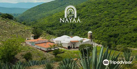 Casa Nayaá Mezcal