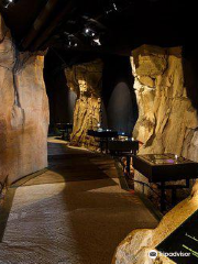 Museum de l'Ours des Cavernes
