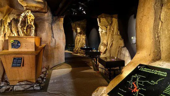 Museum de l'Ours des Cavernes