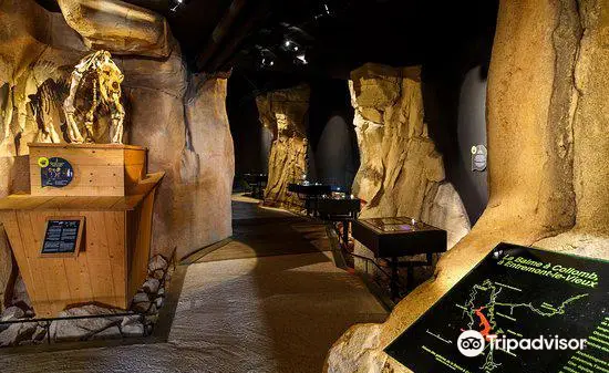 Musée de l'Ours des Cavernes
