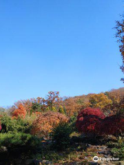 Botanischer Garten Hantaek