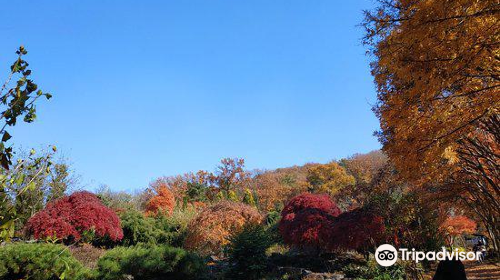 Hantaek Botanical Garden