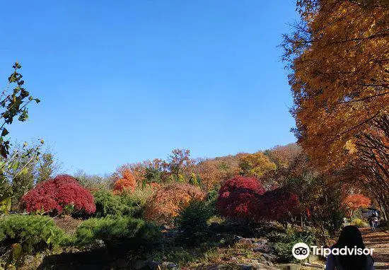 Hantaek Botanical Garden