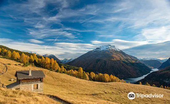 Der Schweizerische Nationalpark im Engadin