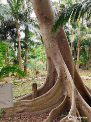 Satake Yaeyama Memorial Palm Museum