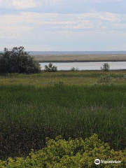 Bowdoin National Wildlife Refuge