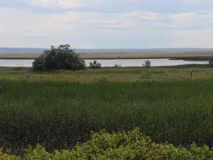 Bowdoin National Wildlife Refuge