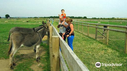 Swithens Farm