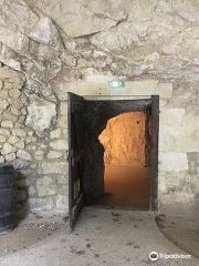 CAVE OF COUNTRY BOURGUEIL