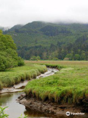 Nestucca Bay National Wildlife Refuge