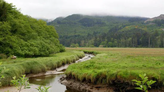 Nestucca Bay National Wildlife Refuge