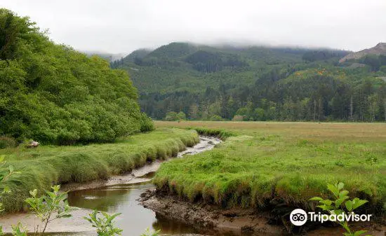 Nestucca Bay National Wildlife Refuge