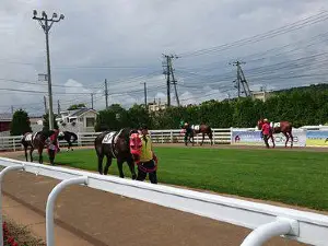 門別競馬場