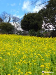 Kanazawa Natural Park