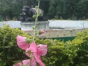 マハラジ・バック動物園