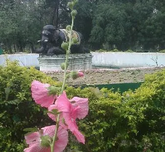 マハラジ・バック動物園