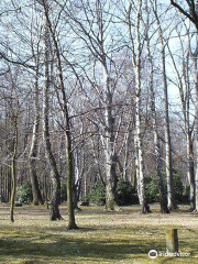 コシチュシュキ公園