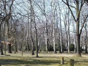 コシチュシュキ公園