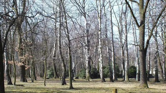 Kosciuszko Park