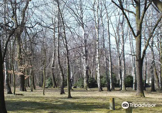 Kosciuszko Park
