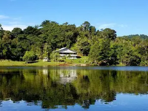 Lago Garzas