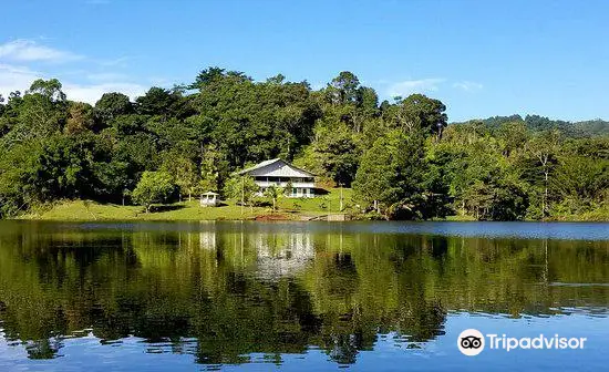 Lago Garzas