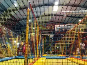 Teri Park