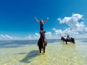 C Ponies Beach Horseback rides