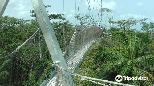 Lekki Conservation Centre