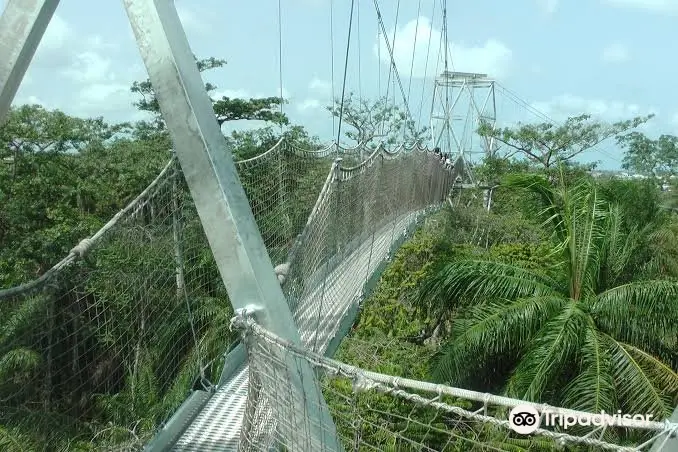 Lekki Conservation Centre