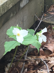 Kalamazoo Nature Center