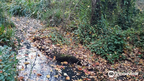 Gunnersbury Triangle Local Nature Reserve