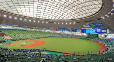 Seibu Prince dome