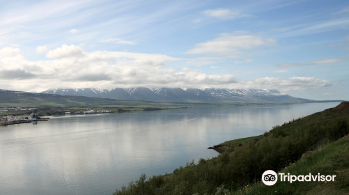 Estuary of the river Eyjafjardará