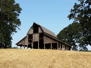 Bald Hill Natural Area