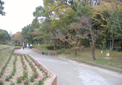 守山市ほたるの森資料館