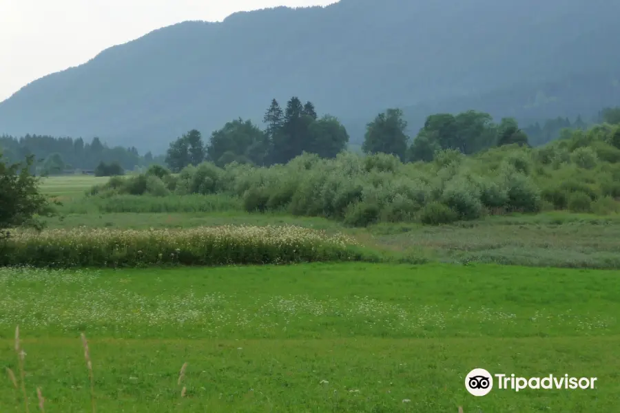 Recurrent Lake of Ledine