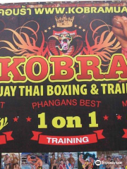 Kobra Muay Thai 泰拳綜合運動場