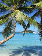 Maho Bay Beach