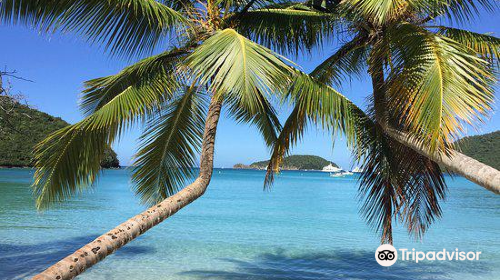 Maho Bay Beach