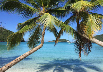 Maho Bay Beach