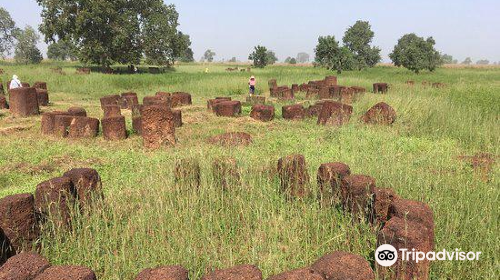 Stone Circles of Senegambia