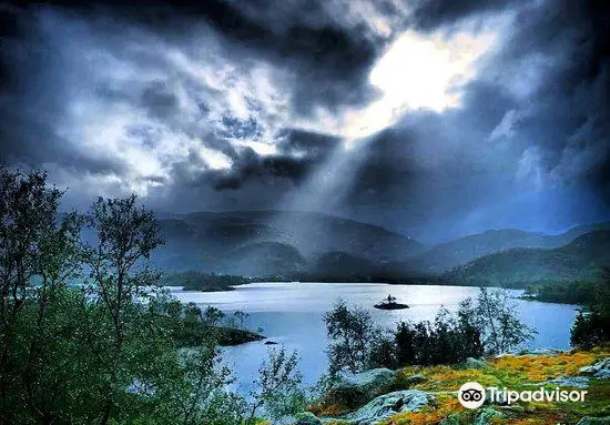 Hardangervidda National Park