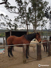 Shoalhaven Zoo And Adventure World