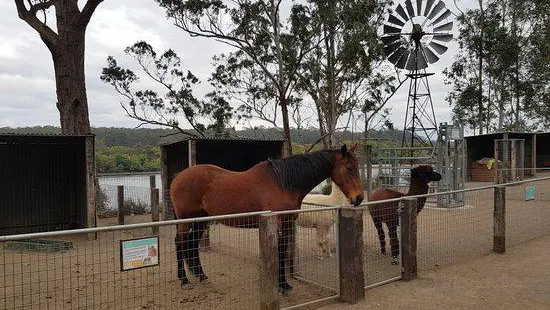 Shoalhaven Zoo And Adventure World