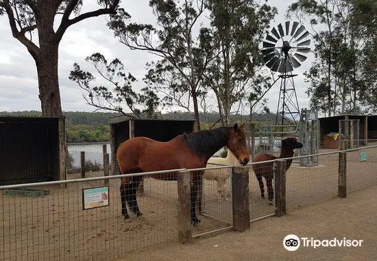 Shoalhaven Zoo And Adventure World