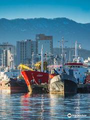 Batumi Seaport