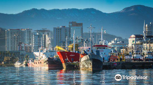 Batumi Seaport