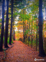 Carolyn Ludwig Mugrage Park