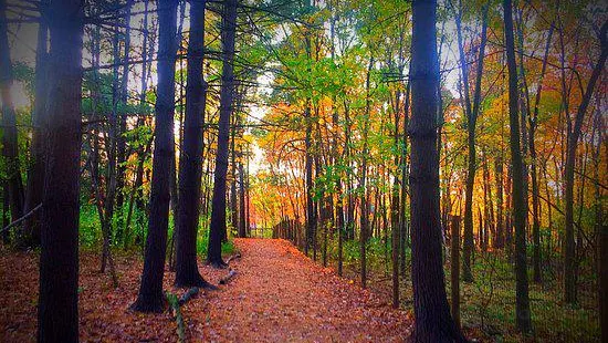 Carolyn Ludwig Mugrage Park